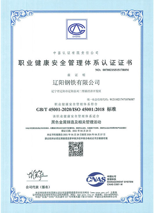 职业健康安全治理系统